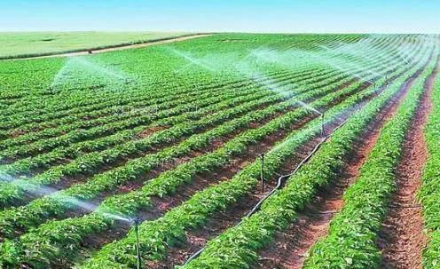 欧洲美女操逼视频农田高 效节水灌溉